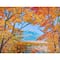Diamond Dotz® Advanced Autumn Mountain Diamond Painting Kit